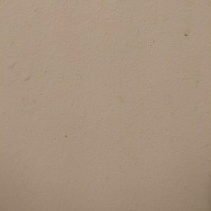 Meet your Posher, Mani