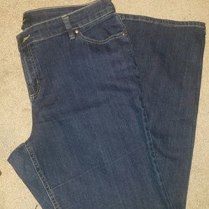 Daisy Fuentes 16 Bootcut Jeans