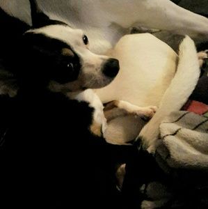 Meet your Posher, Patsy