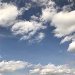 Meet your Posher, Shay