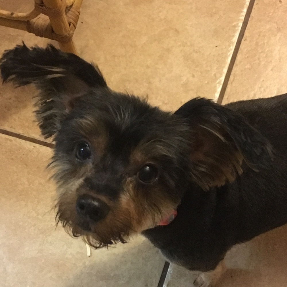 Meet your Posher, Marc