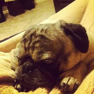 Meet your Posher, Adrienne