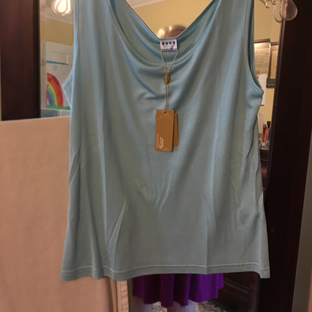 NWT ice blue silk sleeveless top , M. Suit polish