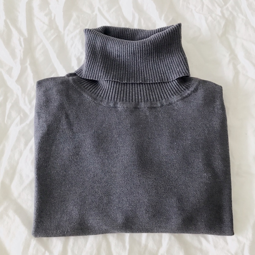 Banana Republic Silk Heather Turtle Neck