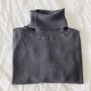 Banana Republic Silk Heather Turtle Neck