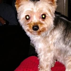 Meet your Posher, Jeanette