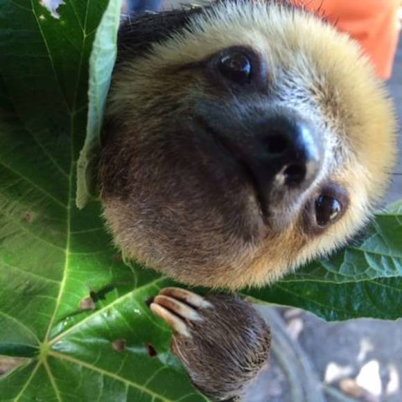 Meet your Posher, Sharane - Picture 1 of 1