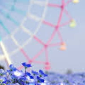 Meet your Posher, Jacqueline