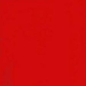 Meet your Posher, Jess