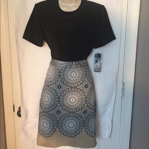 💙The Limited Pencil Skirt