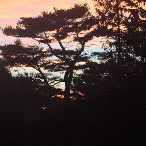 Meet your Posher, Maureen