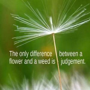 Meet your Posher, Calah