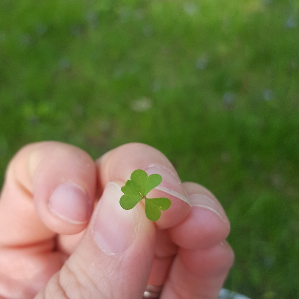 Meet your Posher, Jill