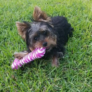 Meet your Posher, Tomiko