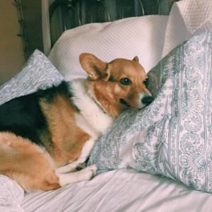 Meet your Posher, Sage