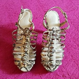 authentic snake skin Coach heels