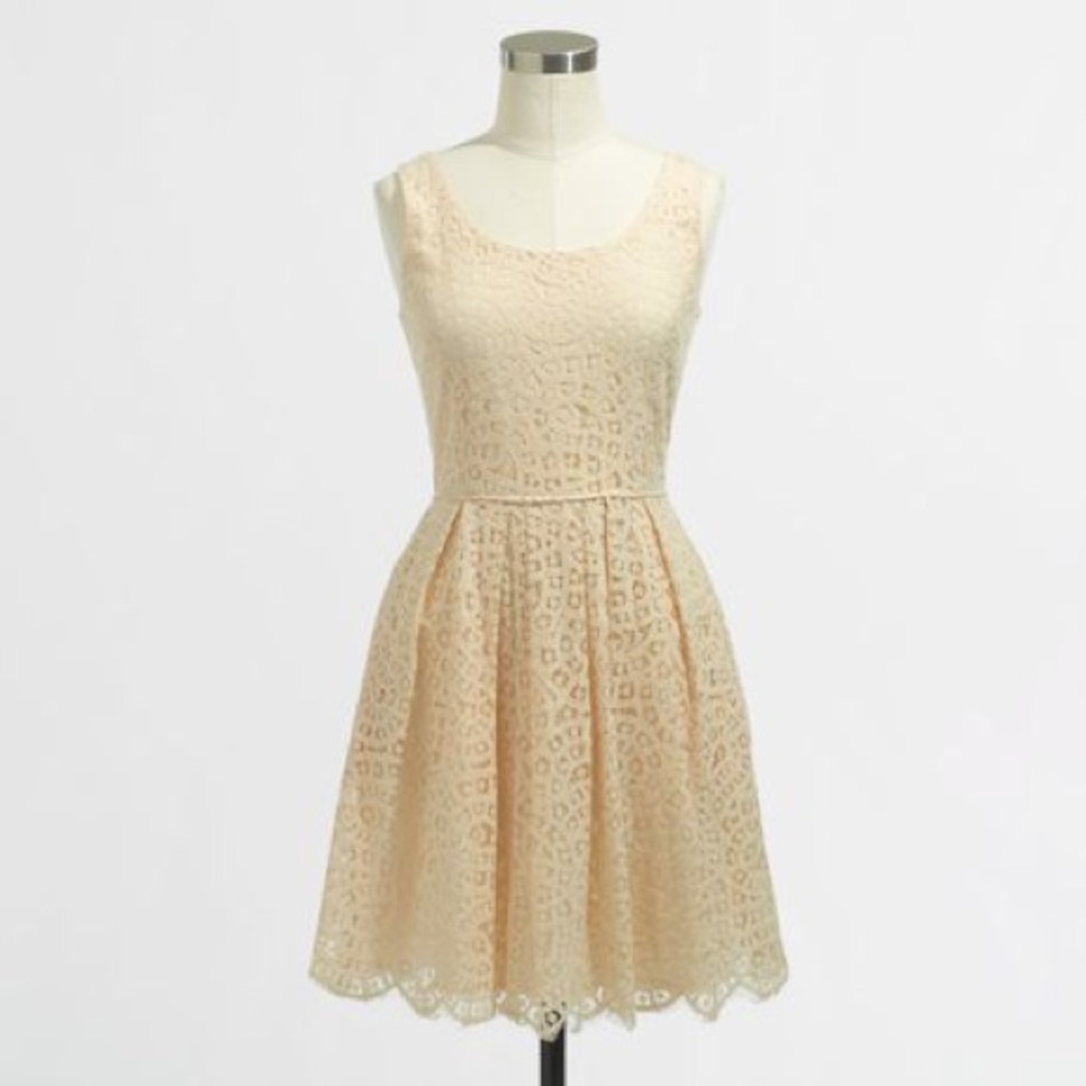 J. Crew lace dress