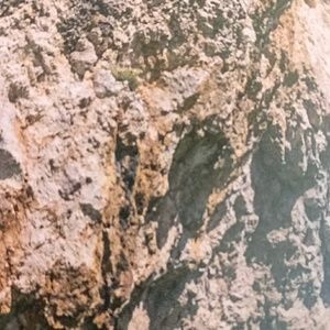 Meet your Posher, Blake