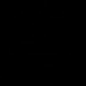 Meet your Posher, Gerald