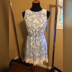 Alice in Wonderland Dress