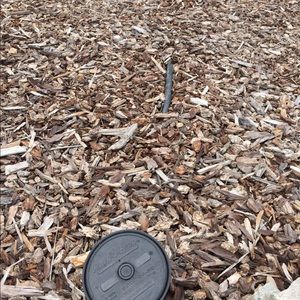 Meet your Posher, Trevor