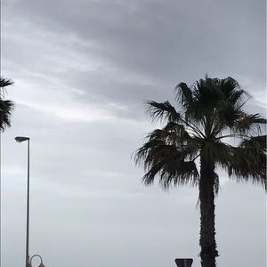 Meet your Posher, Ananya