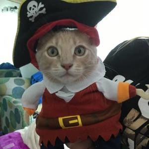 Meet your Posher, Wendy