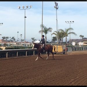 Meet your Posher, Katey