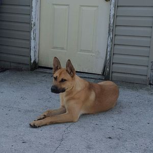 Meet your Posher, Paula