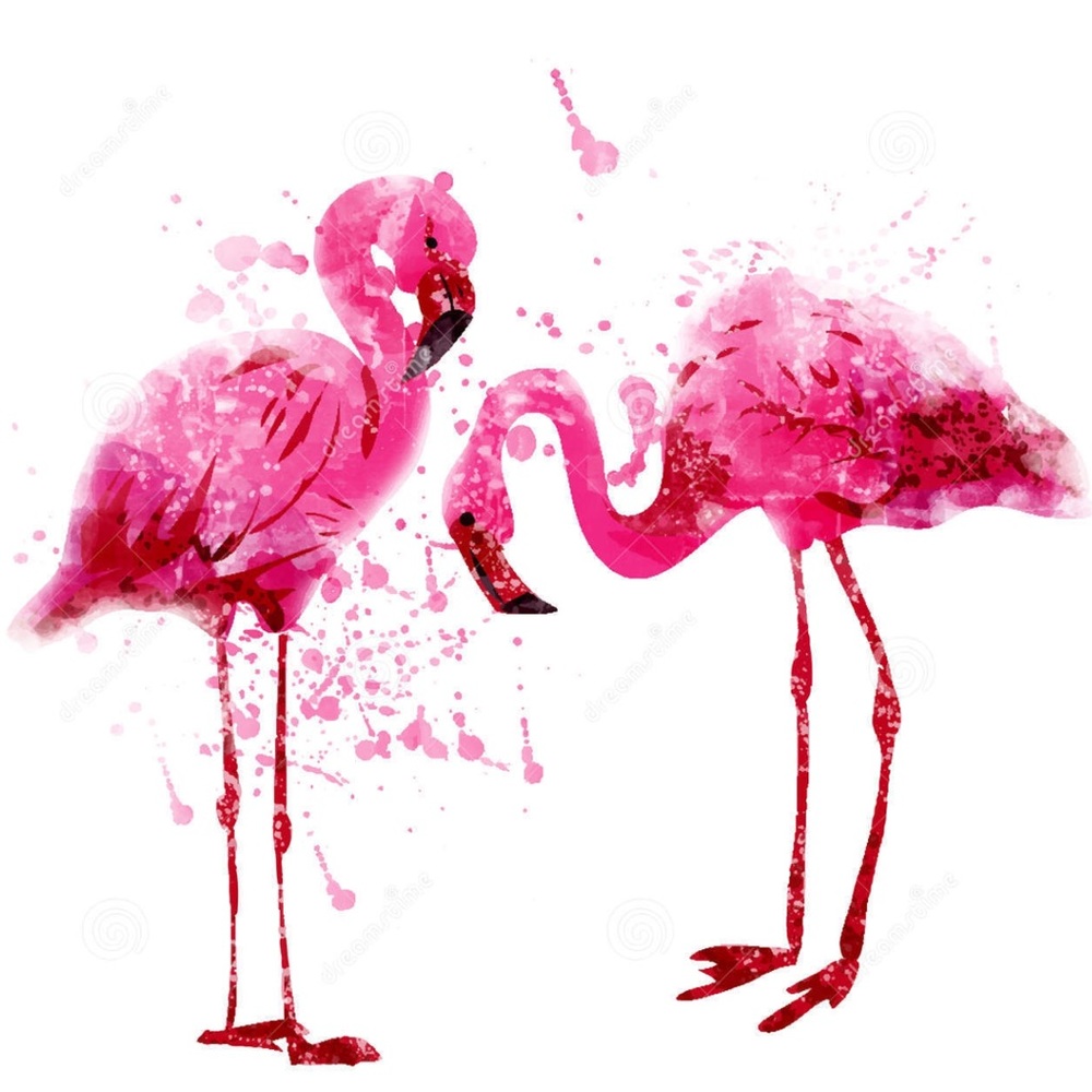 Meet your Posher, Pink flamingo