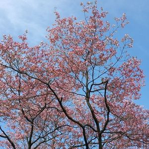 Meet your Posher, Missy