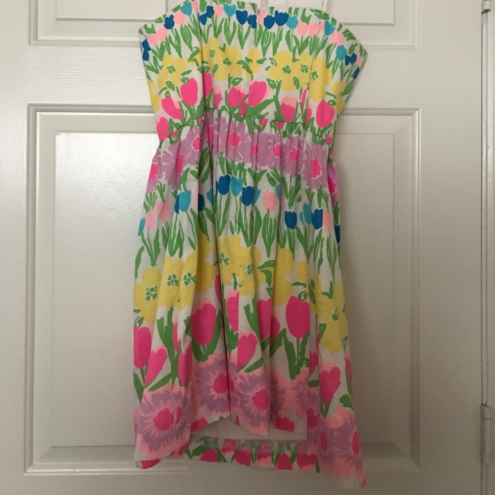 Lilly Pulitzer Floral Line Dance Dress - Picture 3 of 5