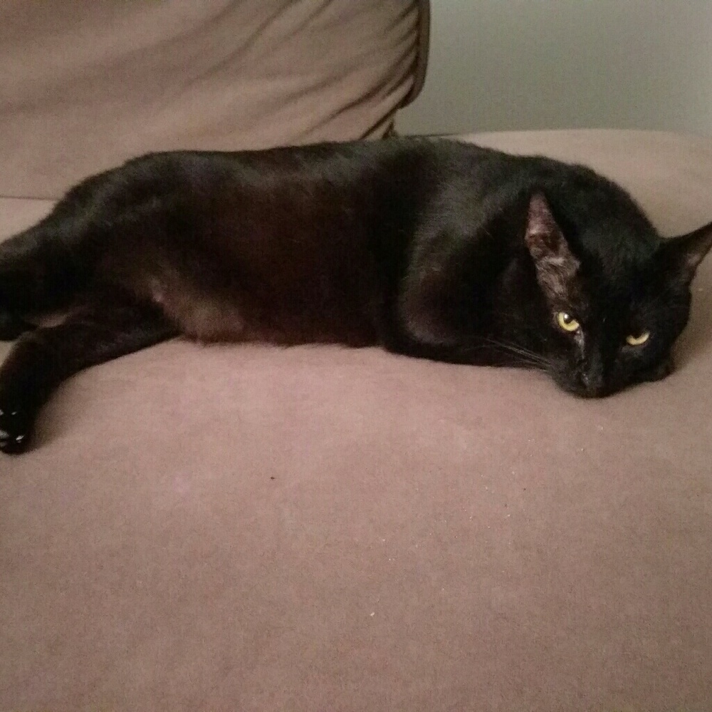 Meet your Posher, Lindsay