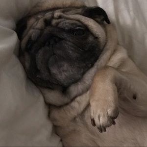 Meet your Posher, Carrie