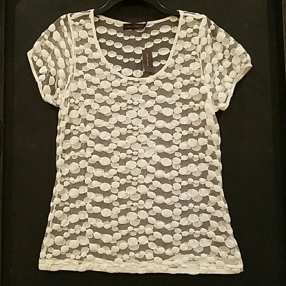 NWT The Limited Mesh shirt
