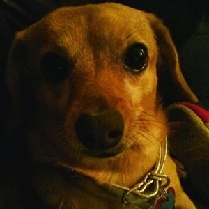 Meet your Posher, Jordan