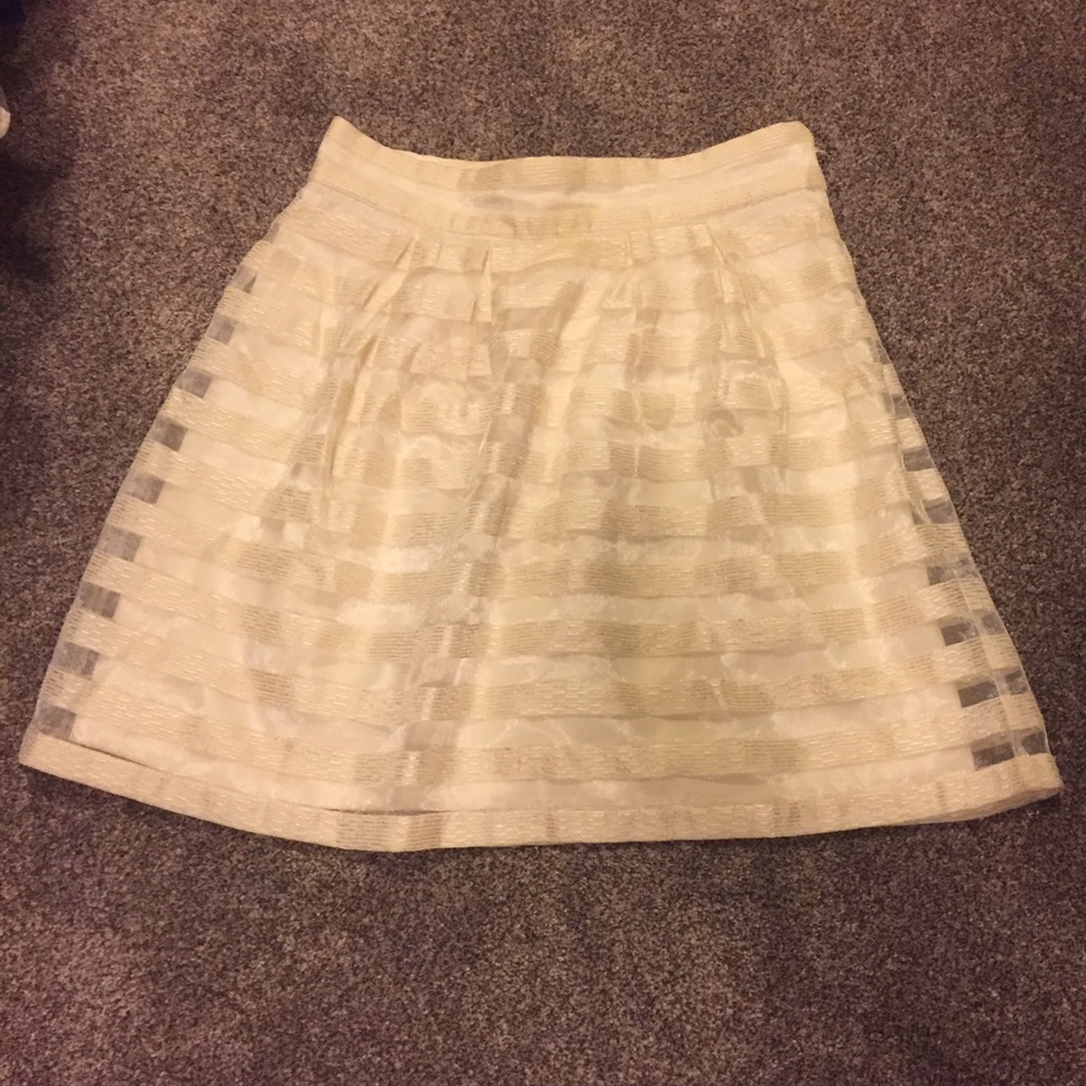 Ann Taylor skirt
