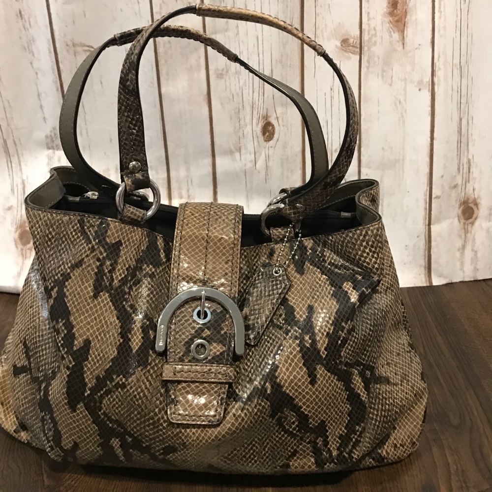 Coach Python Leather Snake skin NoD1126-F17417 Bag