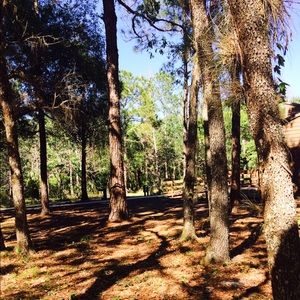 Meet your Posher, Adele