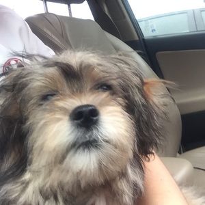 Meet your Posher, Rachel