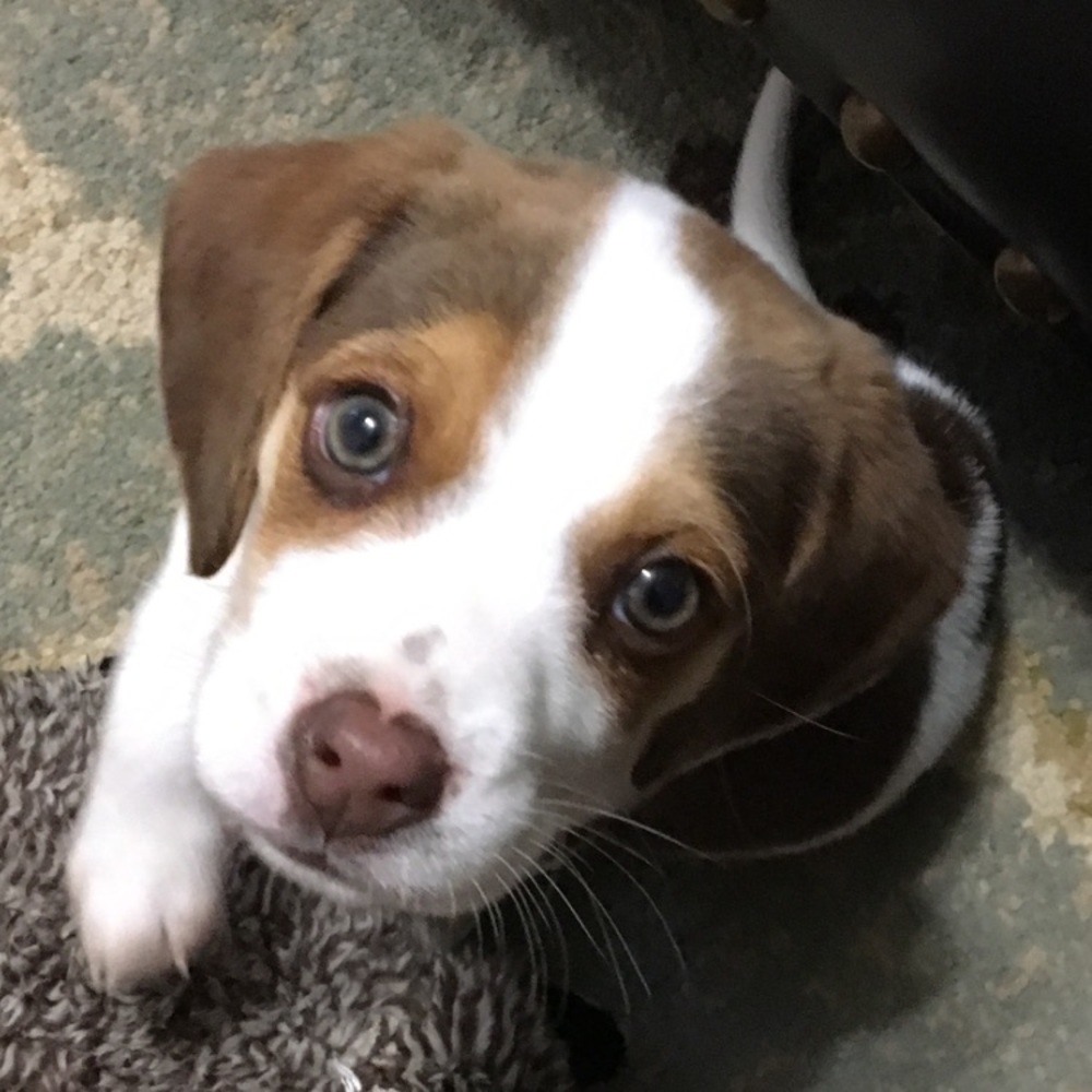 Meet your Posher, Holley