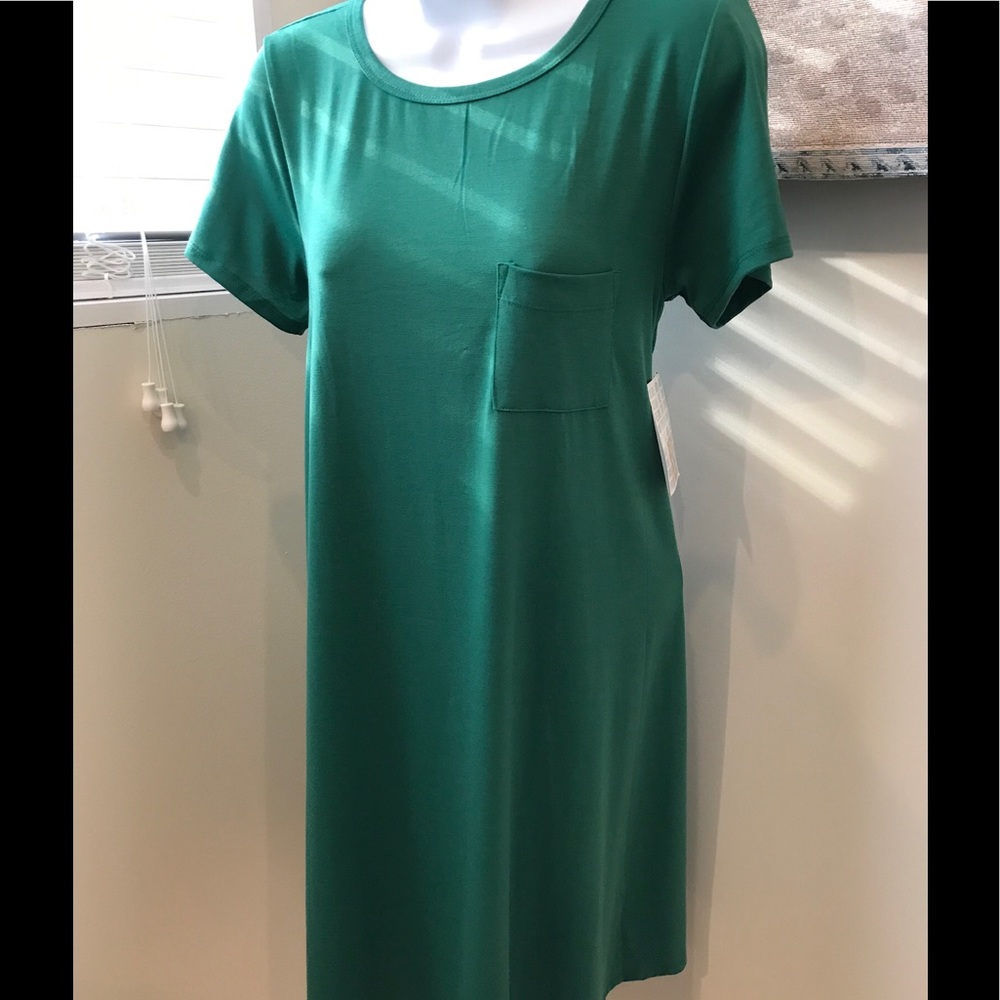 NWT Kelly Green Carly Swing Dress