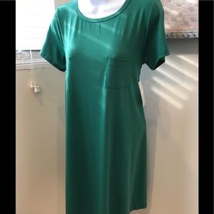 NWT Kelly Green Carly Swing Dress