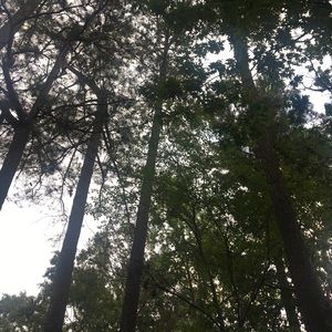 Meet your Posher, Rosa