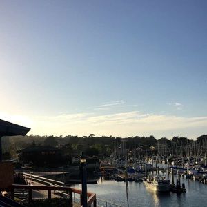 Meet your Posher, Audrey