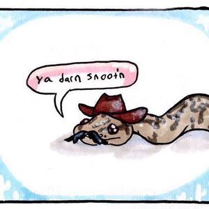 Meet your Posher, Henry