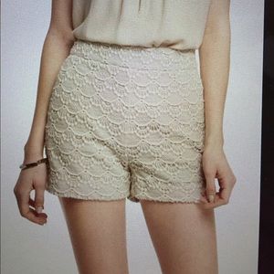 New!!! High Rise Crocheted Lace Shorts