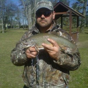 Meet your Posher, Crystal