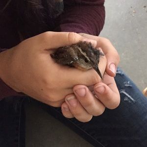 Meet your Posher, Nicole