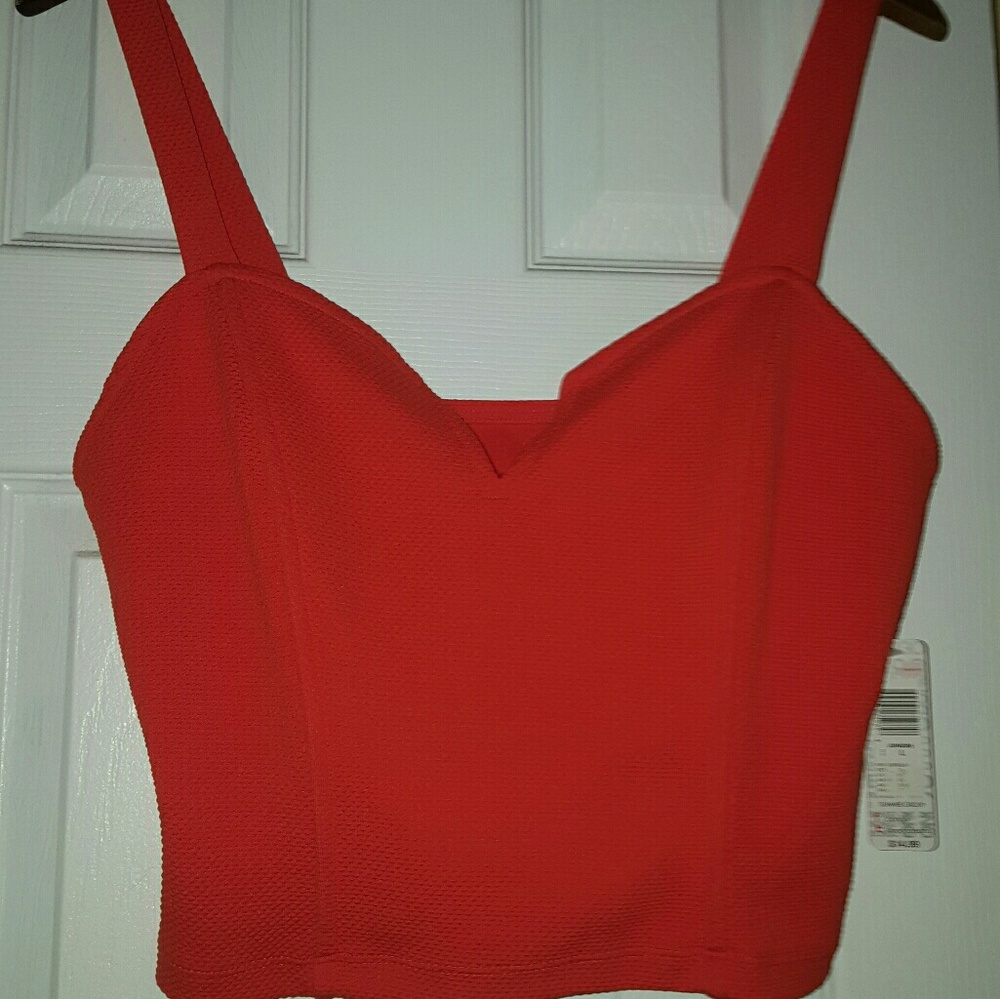 Burnt Orange Crop Top